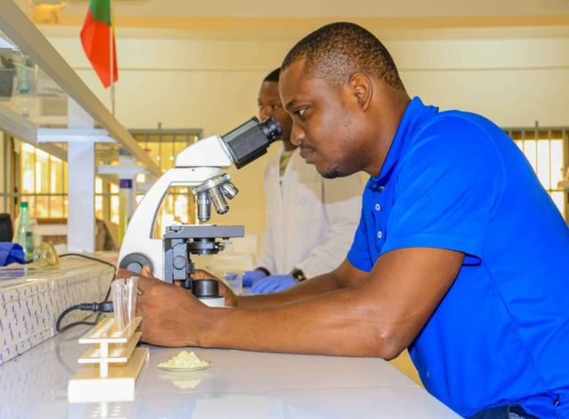 Quality control in DAKIMO's laboratory in Cotonou, Benin